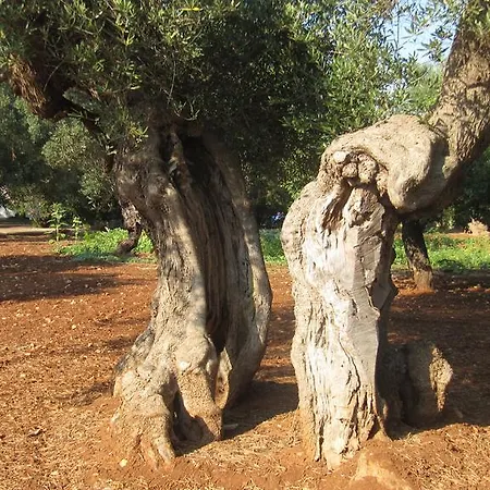 La Chiantata - Piccinnu דירה סן ויטו דיי נורמני