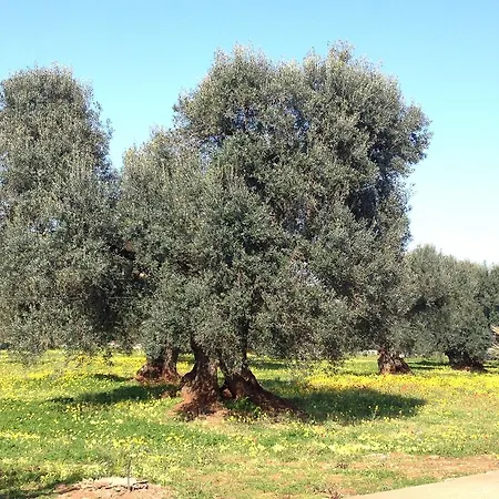 شقة La Chiantata - Piccinnu
