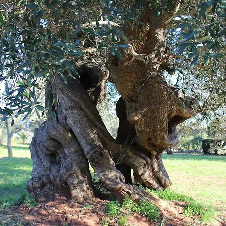 La Chiantata - Piccinnu דירה *