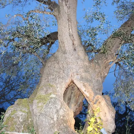La Chiantata - Piccinnu San Vito dei Normanni
