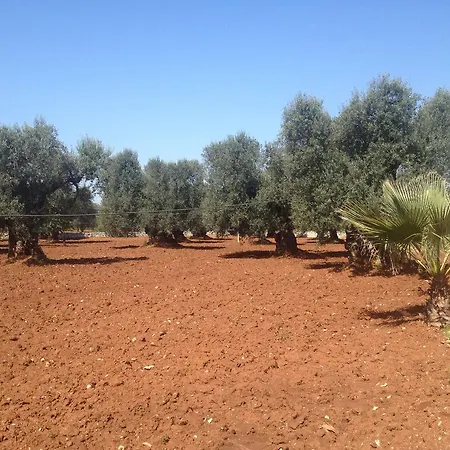 La Chiantata - Piccinnu San Vito dei Normanni